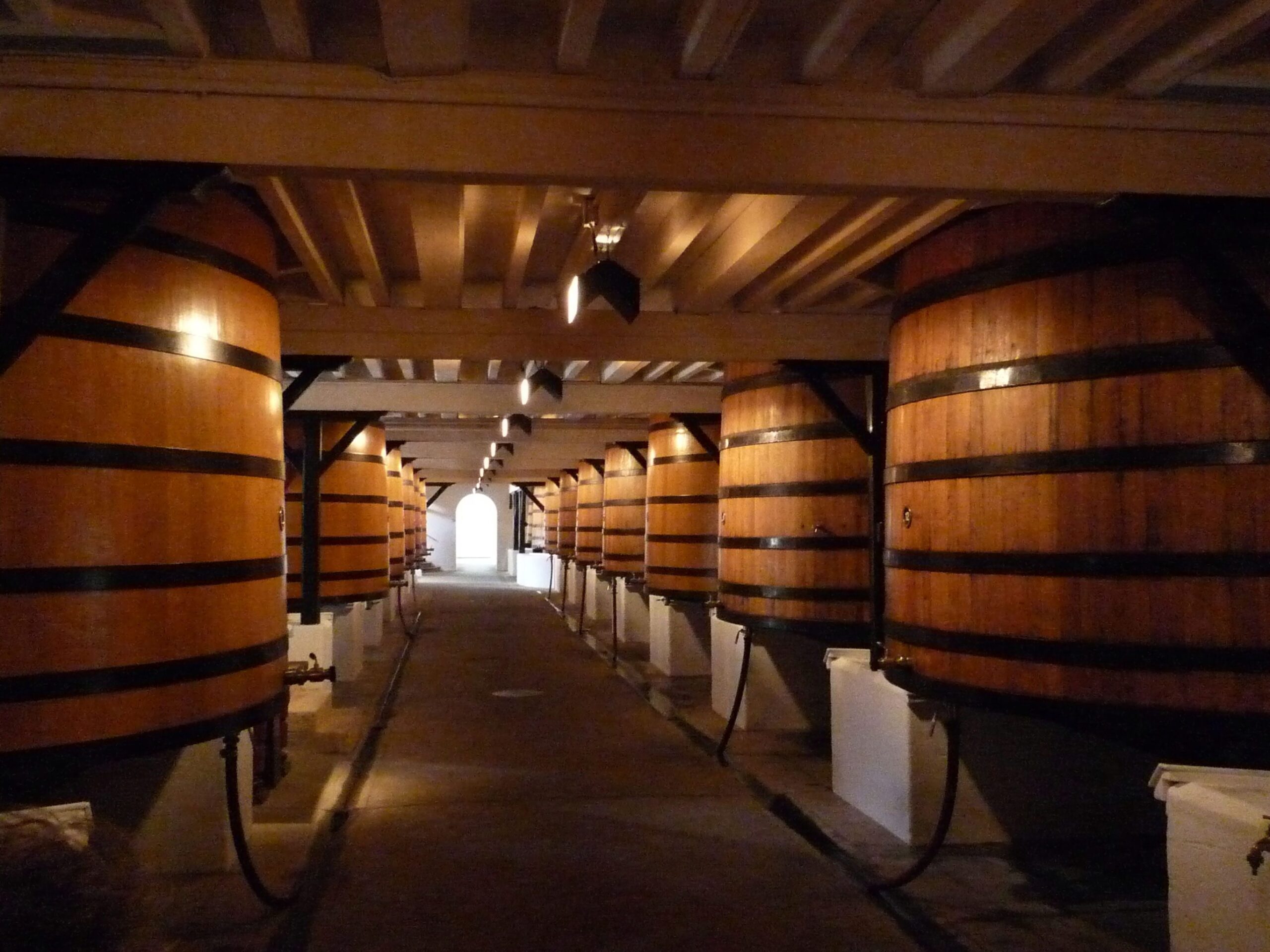 Bordeaux Primeurs 2026 — Entering the City While the Vintage Is Still Exposed