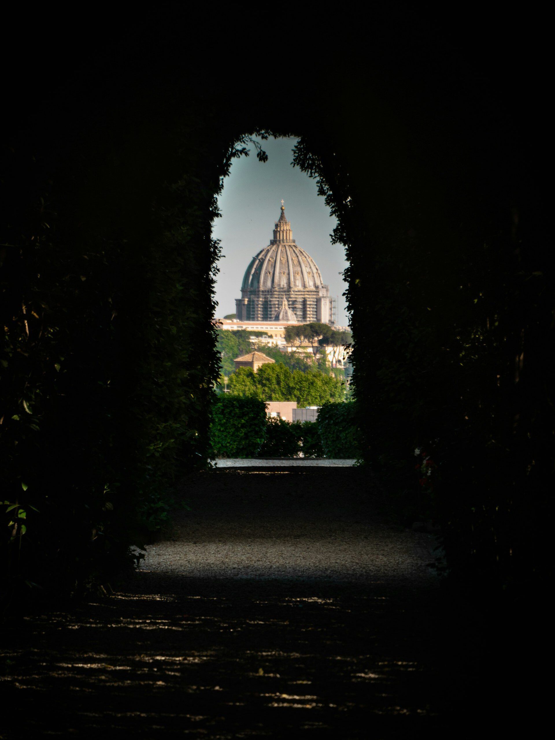What blooms in May and disappears: Five gardens that exist on their own terms 8 What blooms in May and disappears: Five gardens that exist on their own terms