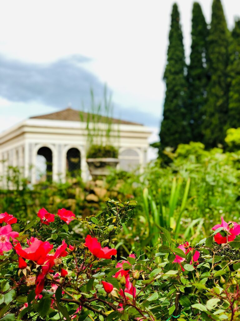 What blooms in May and disappears: Five gardens that exist on their own terms 7 What blooms in May and disappears: Five gardens that exist on their own terms