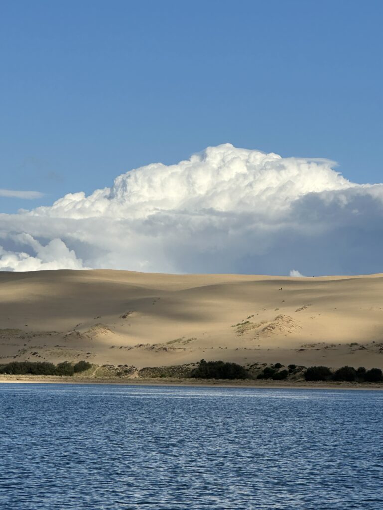 The Birthday That Turned a Childhood Dream into a Shared Bordeaux Story