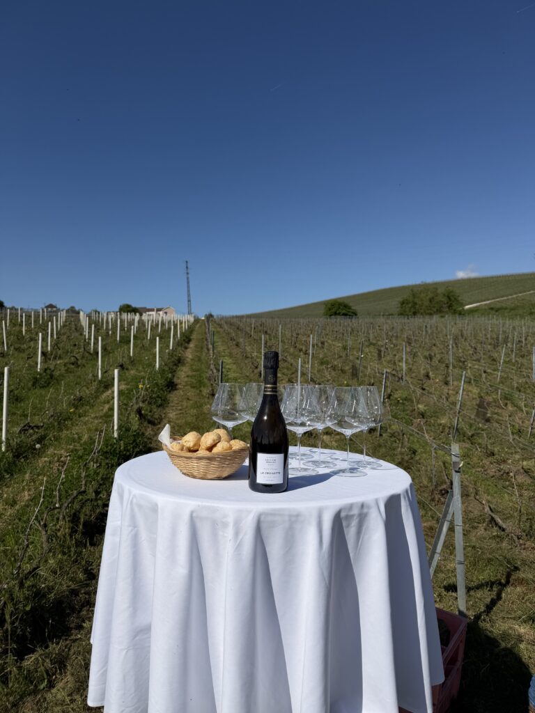 A 50th Birthday in Champagne: Fourteen Friends, a Private Jet, and the Art of Escape