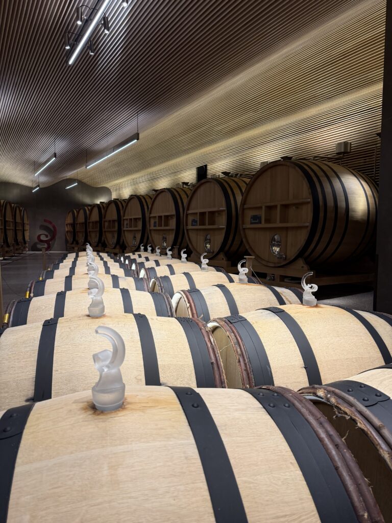 A 50th Birthday in Champagne: Fourteen Friends, a Private Jet, and the Art of Escape