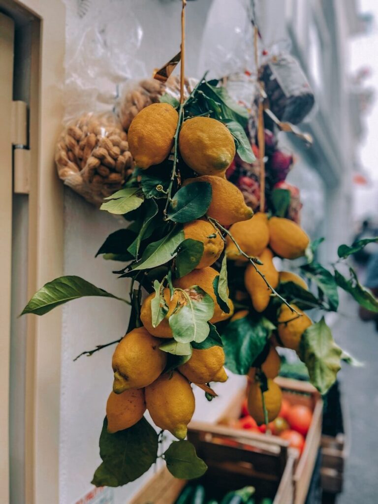 Amalfi Coast in Summer: The Right Hour from Capri to Ravello 9 a bunch of lemons hanging from a tree