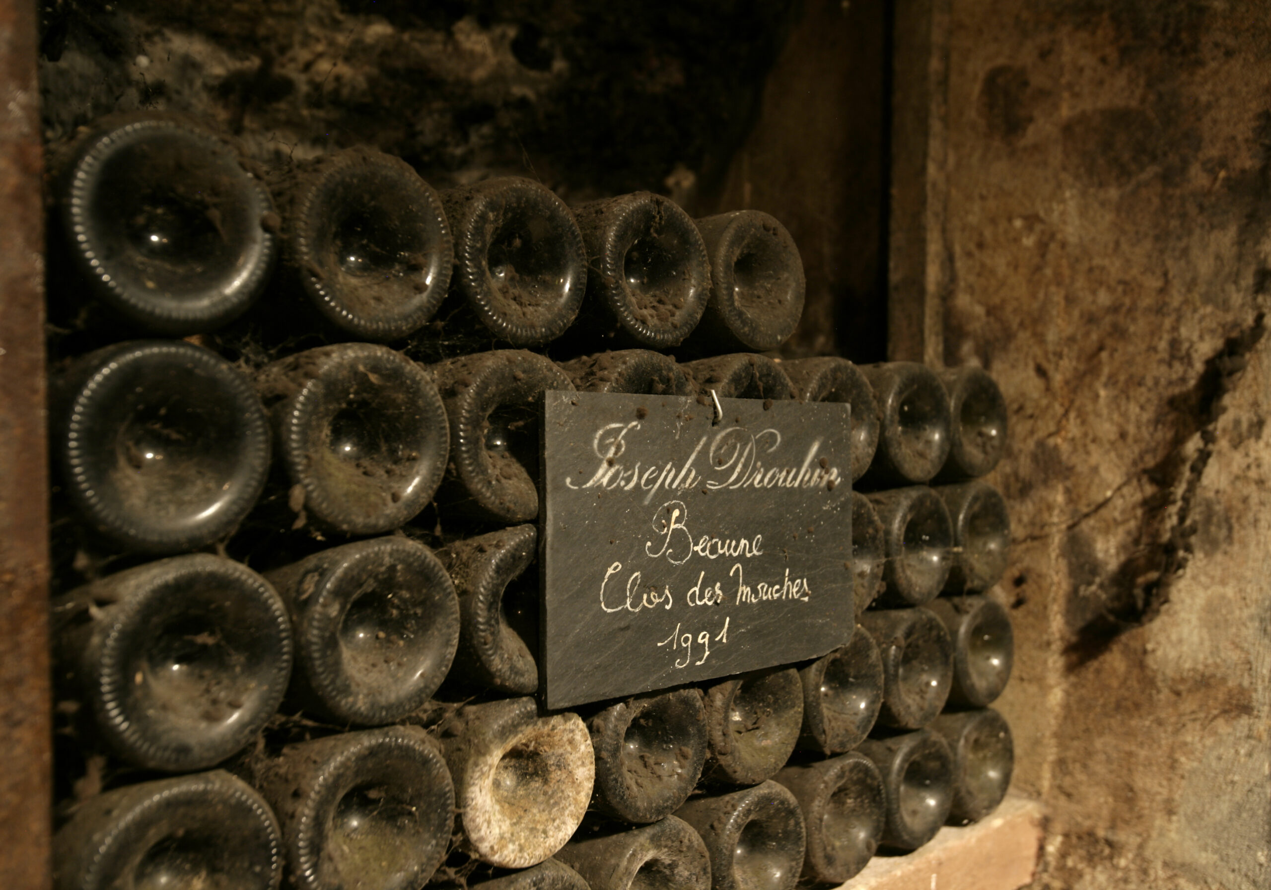 Burgundy vineyard