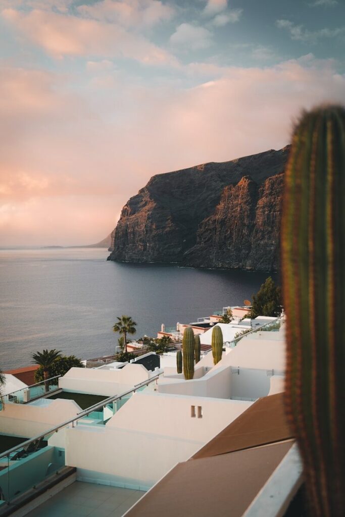 Tenerife to Ribera del Duero: A Private Wine Journey 2 a view of a body of water from a rooftop